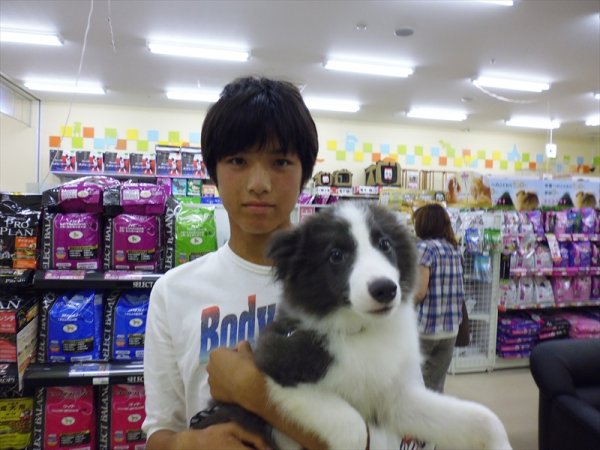 写真