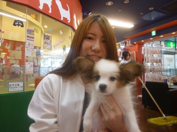 写真