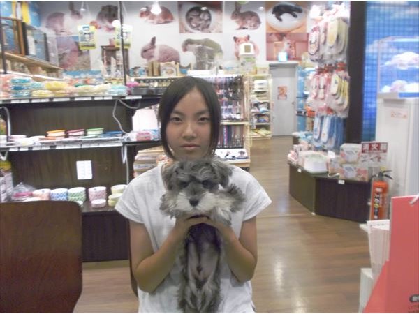 写真