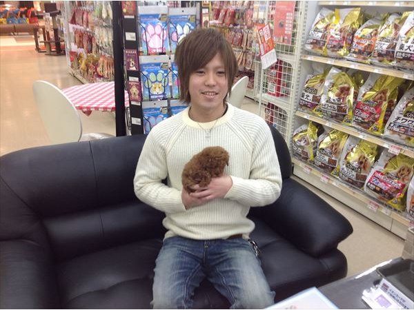 写真