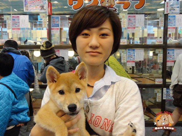 写真