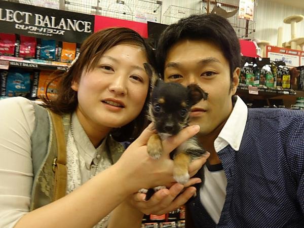 写真