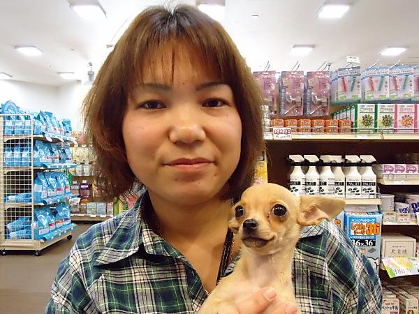 写真