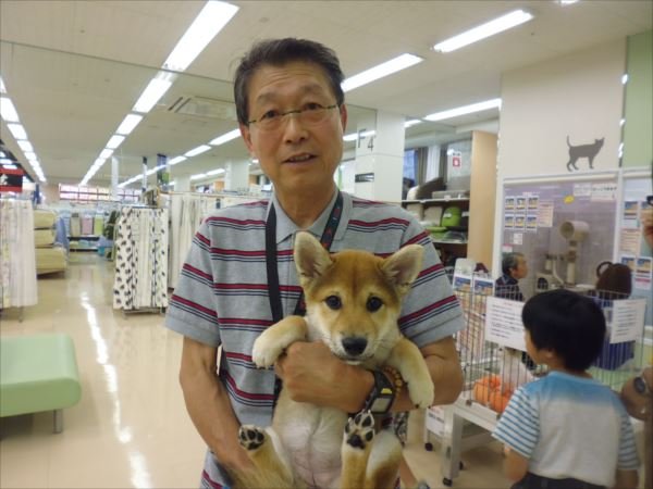 写真