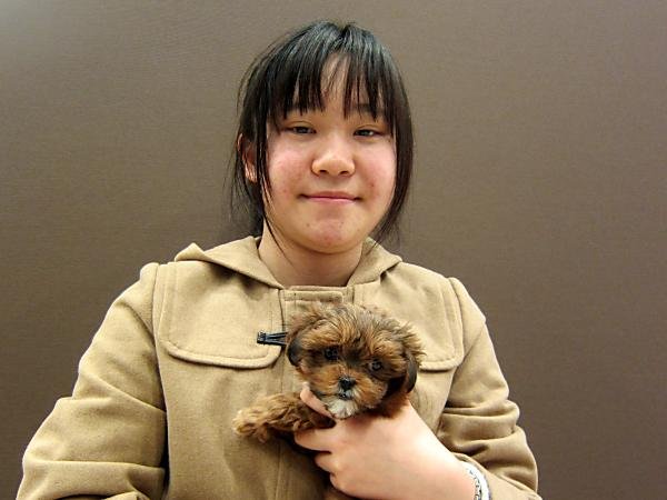 写真
