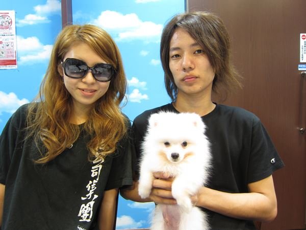 写真
