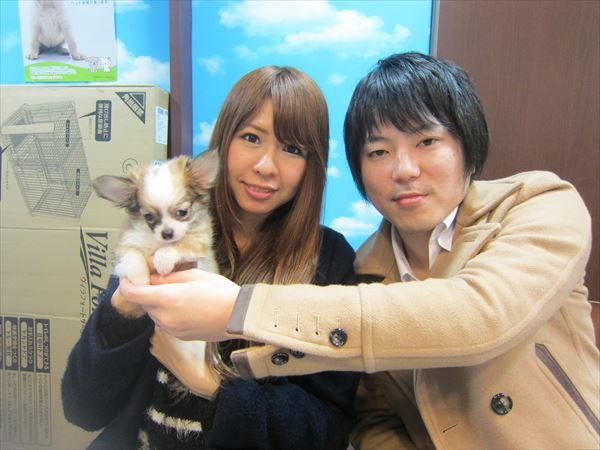 写真