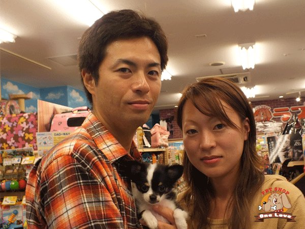 写真