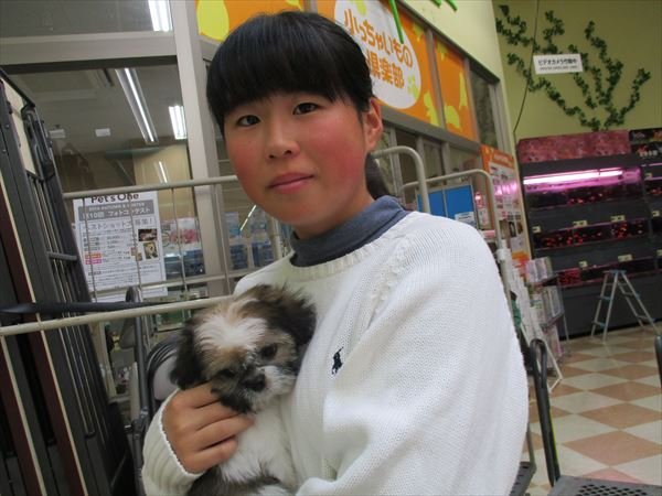 写真
