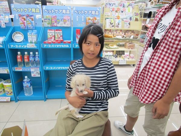 写真