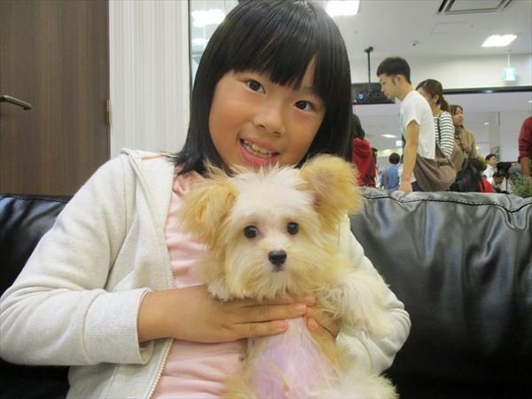 写真