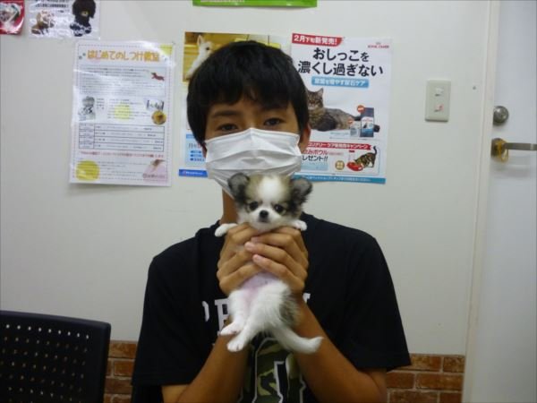 写真