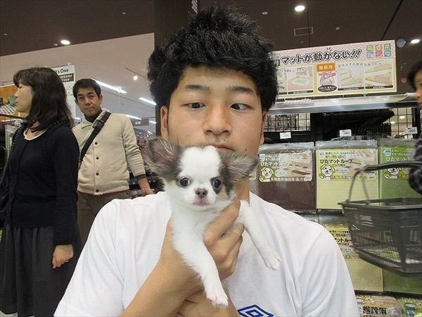 写真