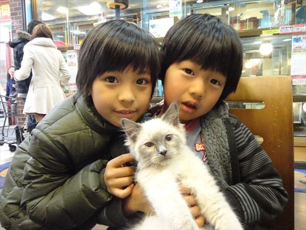 写真