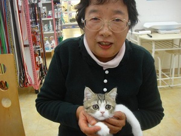 写真