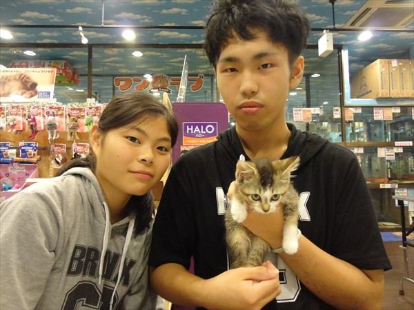 写真