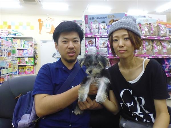 写真