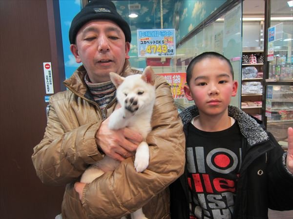 写真