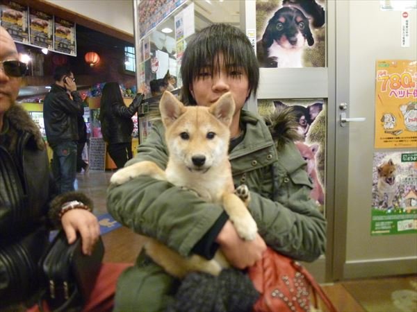 写真