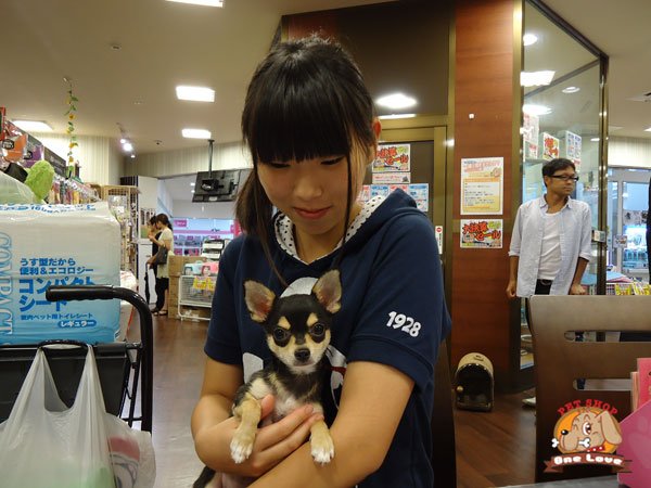 写真