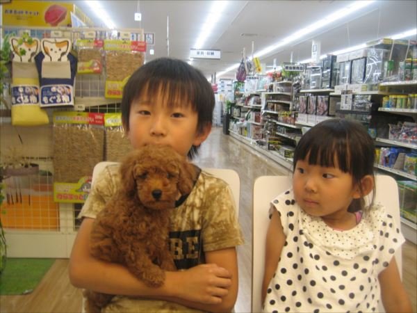写真