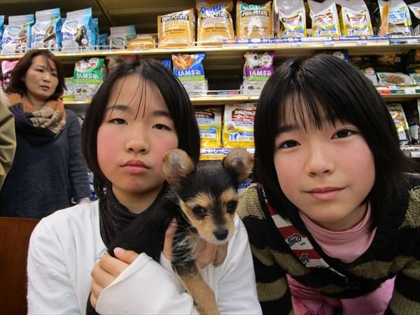 写真