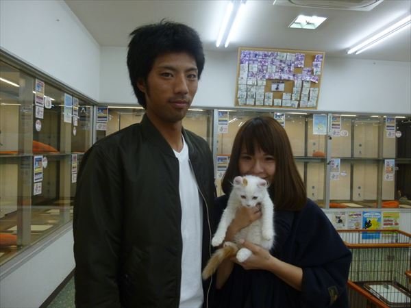 写真