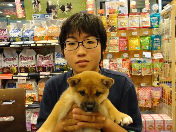 写真