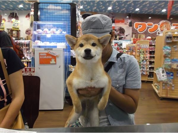 写真