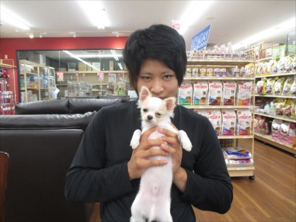 写真