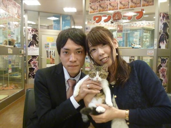 写真