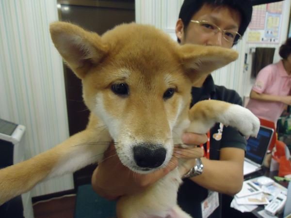 写真