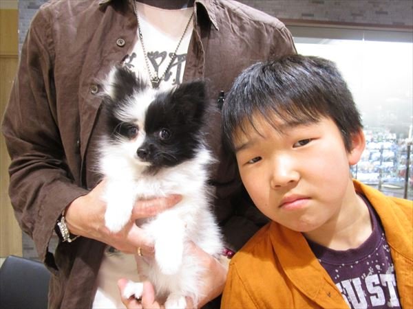 写真