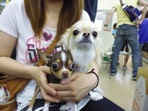 写真