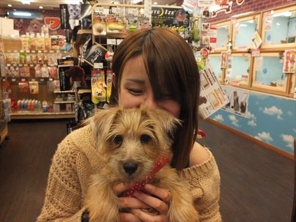 写真