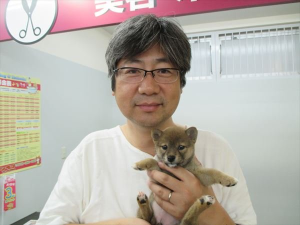 写真