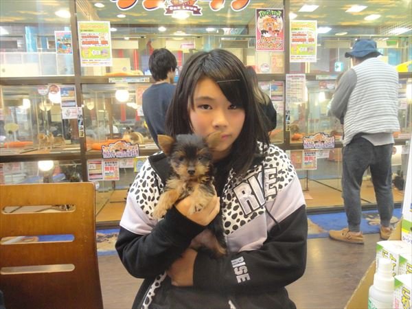 写真