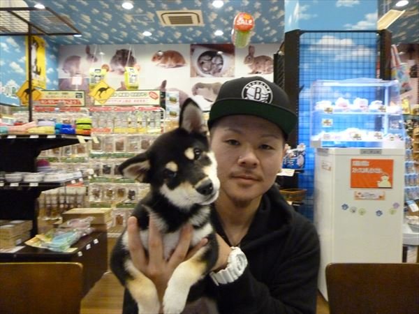 写真