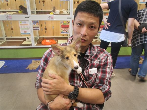写真