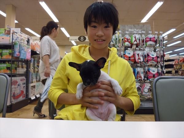 写真