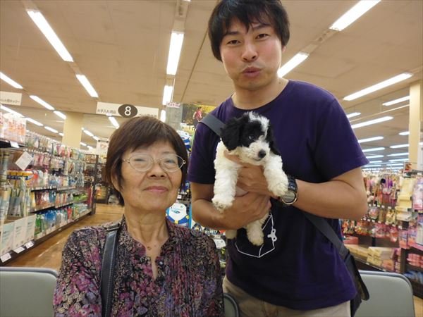 写真
