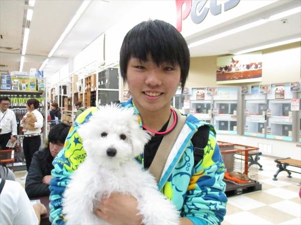 写真