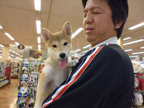 写真