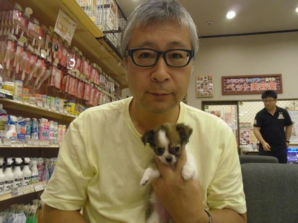写真