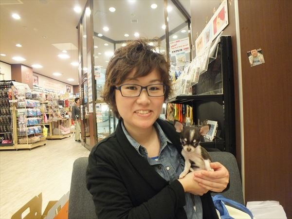 写真