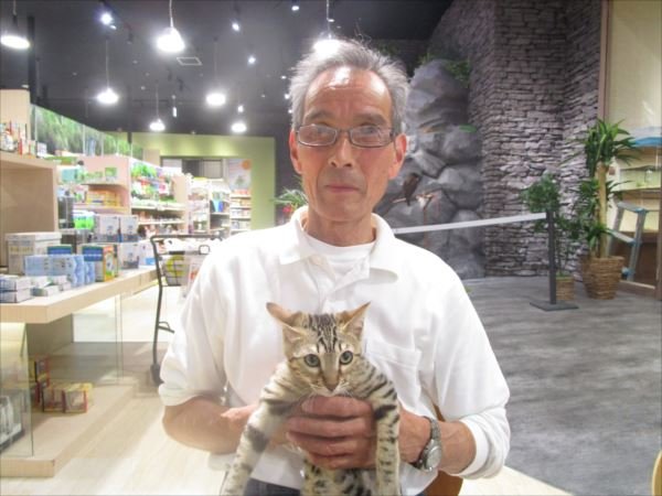 写真