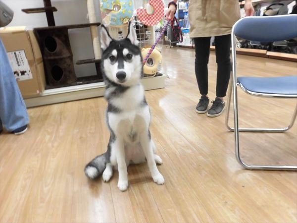 写真
