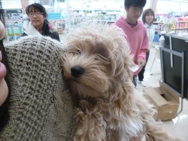 写真