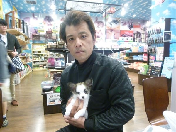 写真