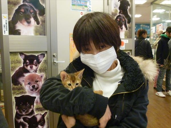 写真